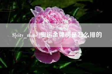 苏州奥运金牌榜是怎么排的