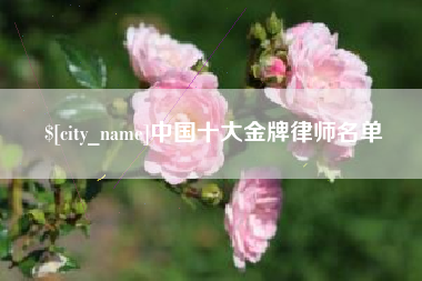 苏州中国十大金牌律师名单