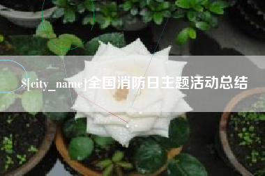 苏州全国消防日主题活动总结