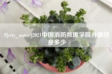 苏州2021中国消防救援学院分数线是多少
