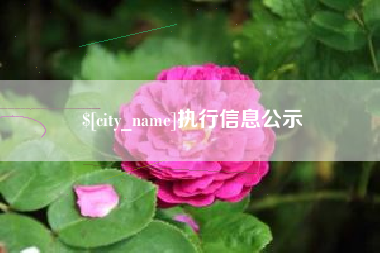 苏州执行信息公示