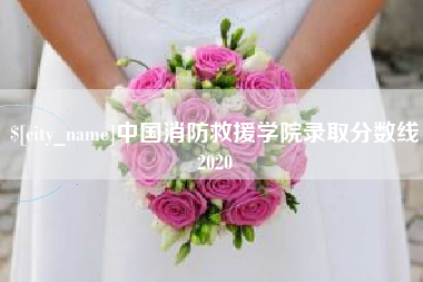 苏州中国消防救援学院录取分数线2020