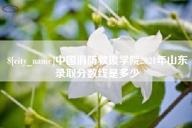 苏州中国消防救援学院2021年山东录取分数线是多少
