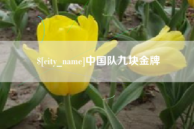 苏州中国队九块金牌