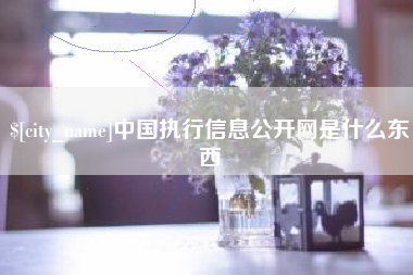 苏州中国执行信息公开网是什么东西