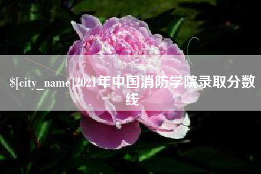 苏州2021年中国消防学院录取分数线