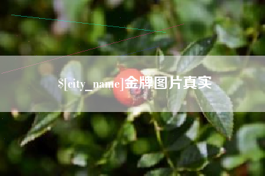 苏州金牌图片真实