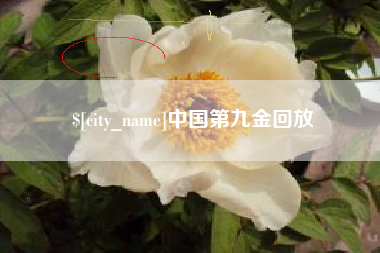 苏州中国第九金回放