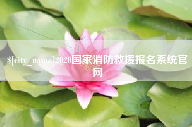 苏州2020国家消防救援报名系统官网