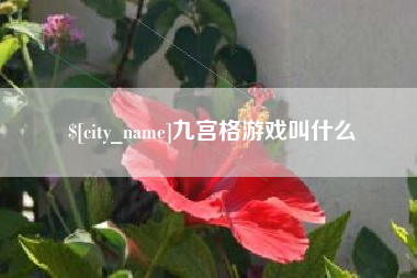 苏州九宫格游戏叫什么