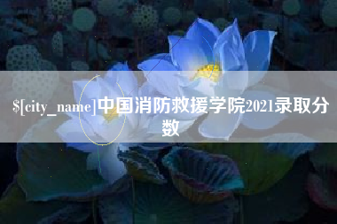 苏州中国消防救援学院2021录取分数