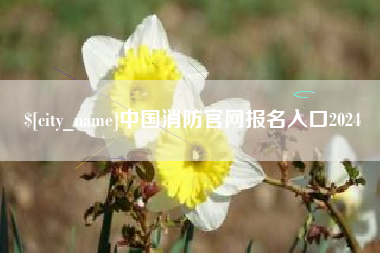 苏州中国消防官网报名入口2024
