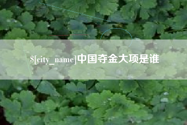 苏州中国夺金大项是谁