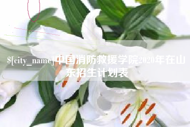 苏州中国消防救援学院2020年在山东招生计划表