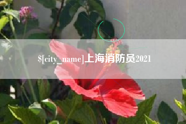苏州上海消防员2021