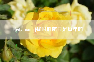 苏州我国消防日是每年的