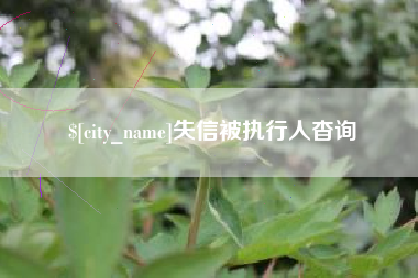 苏州失信被执行人杳询