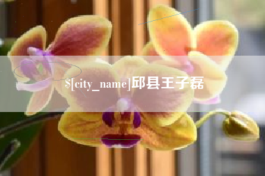苏州邱县王子磊