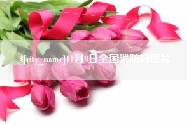 苏州11月9日全国消防日图片