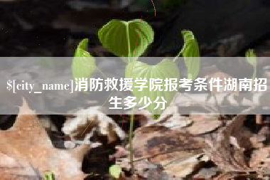 苏州消防救援学院报考条件湖南招生多少分