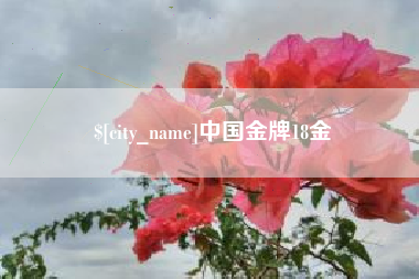 苏州中国金牌18金
