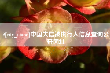 苏州中国失信被执行人信息查询公开网址