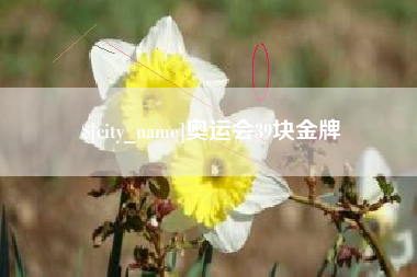 苏州奥运会39块金牌