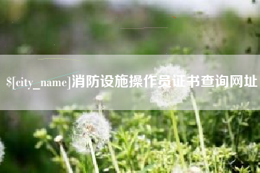 苏州消防设施操作员证书查询网址