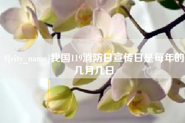 苏州我国119消防日宣传日是每年的几月几日