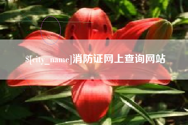 苏州消防证网上查询网站