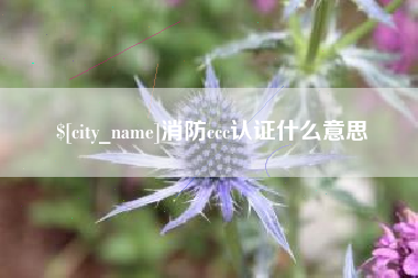 苏州消防ccc认证什么意思
