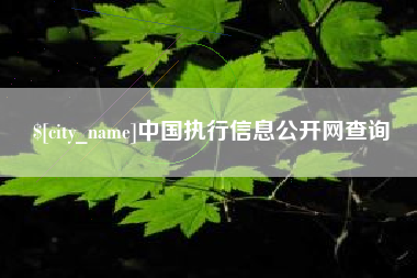 苏州中国执行信息公开网查询