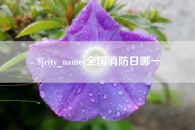 苏州全国消防日哪一