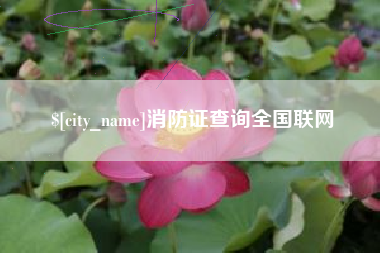 苏州消防证查询全国联网