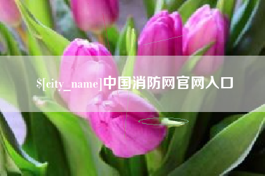 苏州中国消防网官网入口
