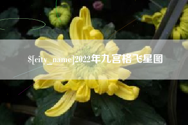苏州2022年九宫格飞星图