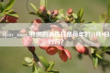 苏州我国的消防日是每年的11月9日对吗？