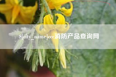 苏州ccc消防产品查询网