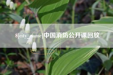 苏州中国消防公开课回放