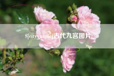 苏州古代九宫图片