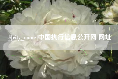 苏州中国执行信息公开网 网址