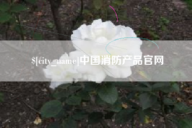 苏州中国消防产品官网