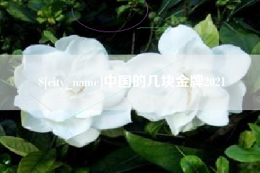 苏州中国的几块金牌2021