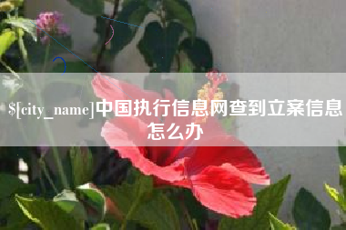 苏州中国执行信息网查到立案信息怎么办