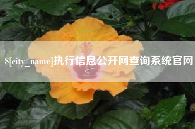 苏州执行信息公开网查询系统官网