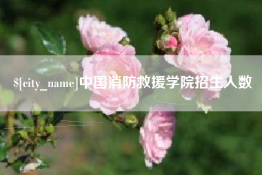苏州中国消防救援学院招生人数
