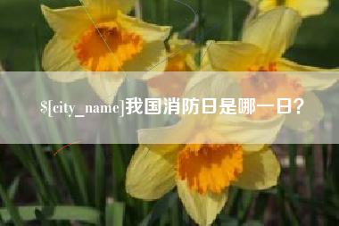 苏州我国消防日是哪一日？