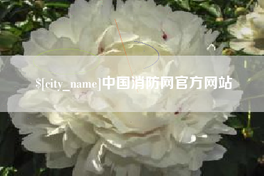 苏州中国消防网官方网站