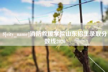 苏州消防救援学院山东招生录取分数线2020