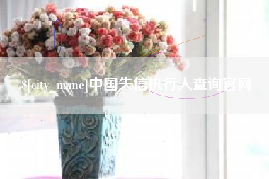 苏州中国失信执行人查询官网